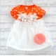 Kids Tutu Dress